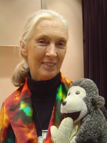 Avances de Jane Goodall