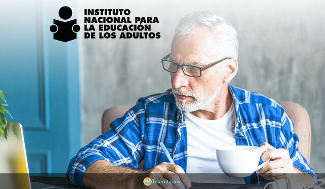 Educación Actual del INEA