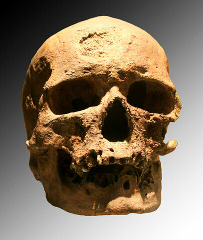 Hombre de Cromañón (Homo Sapiens Sapiens)