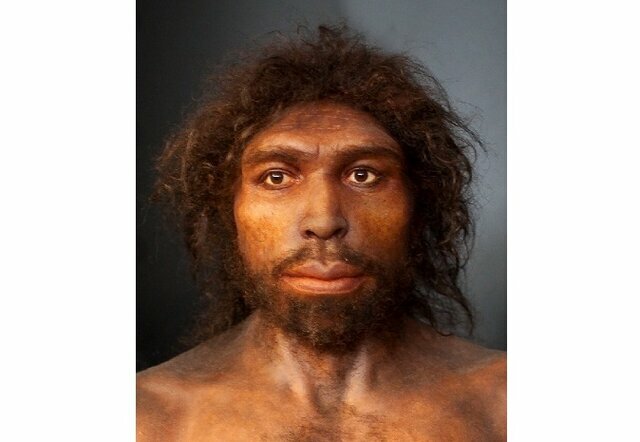 Homo antecesor (800.000 aC)
