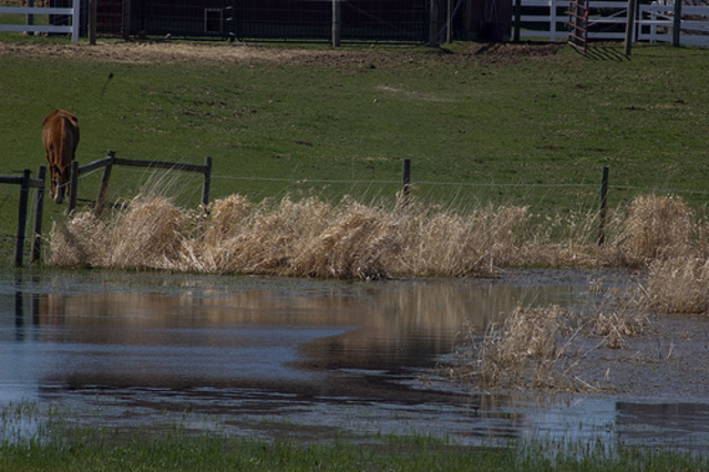 Hercules and the Twelve Labors (4-6)