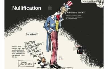 Nullification
