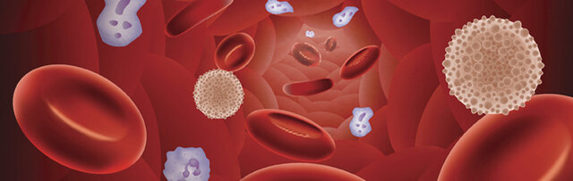 Factor de crecimiento