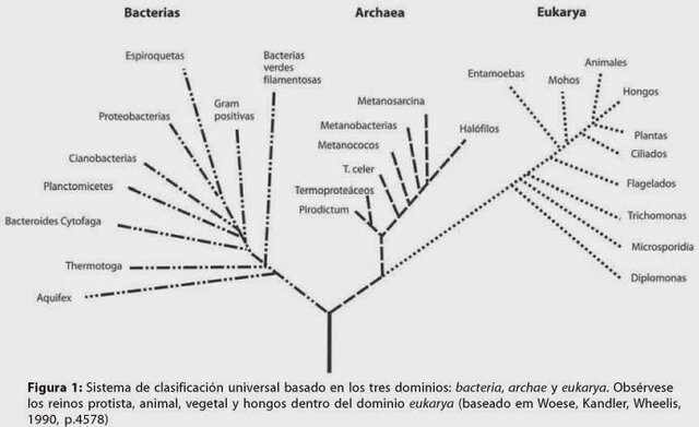 Tabla de Lamarck