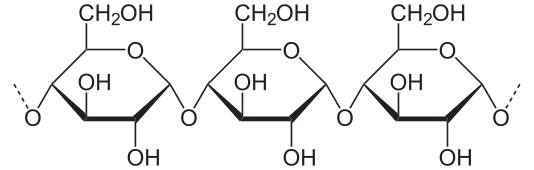 El Metabolismo de los Carbohidratos