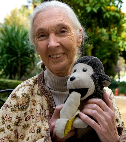 Jane Goodall.(1934)