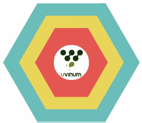Rediseño de la Arquitectura del Software y Reimplementación del Marketplace Uvinum