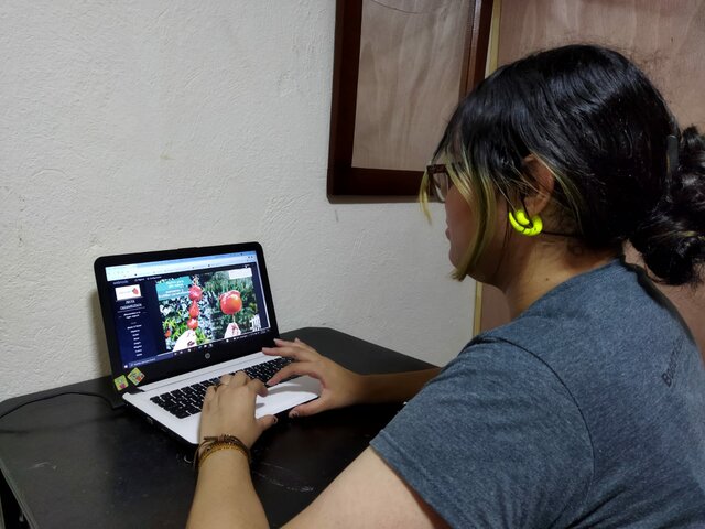 Creación de la empresa