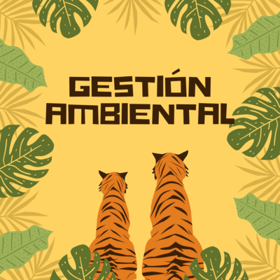 Timeline: Gestión Ambiental