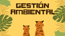 Timeline: Gestión Ambiental