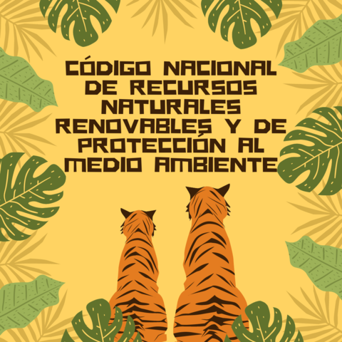 Decreto 2811 de 1974