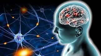 Plasticidad cerebral y el aprendizaje