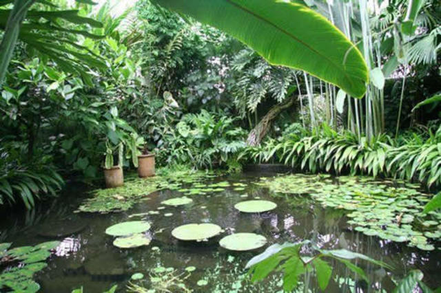Fundación del Real Jardín Botánico de Madrid