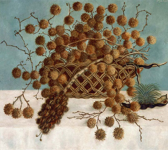 Flores secas -Olga Costa