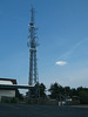 First cells for mobile phones