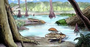 THE SEA- CARBONIFEROUS