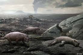 The Permian mass extincion