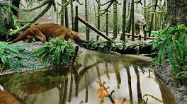 even of the triassic period