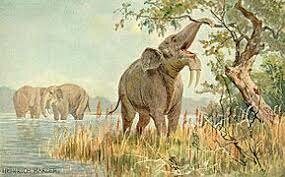 Flowering and subsequent extinction of many large mammals.