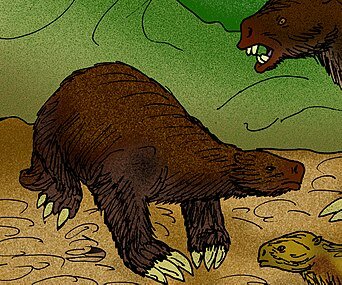 Diversification of mammals