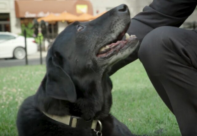 Image : élément 10