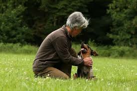 Image : élément 12