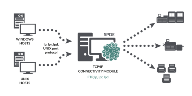 NCP y correo Electronico