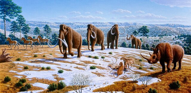 The Quaternary Period is famous for the many cycles of glacial growth and retreat, the extinction of many species of large mammals and birds, and the spread of humans.