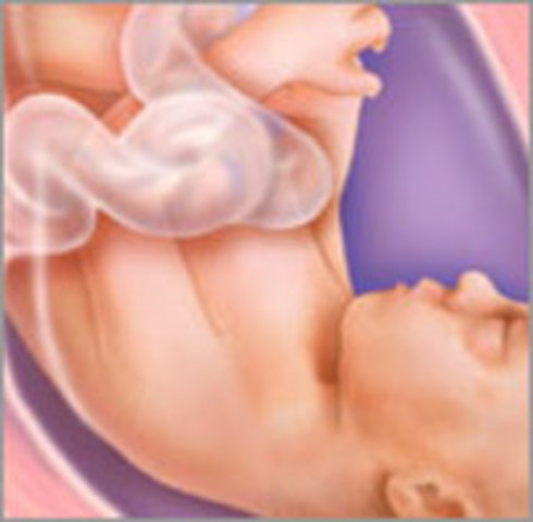 28 OF BEING PREGNANCY