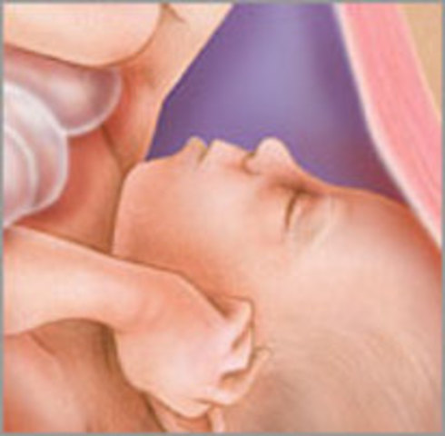 32 WEEKS OF PREGNANCY