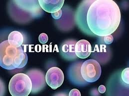 Teoría Célular