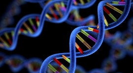 Timeline: Historia del ADN