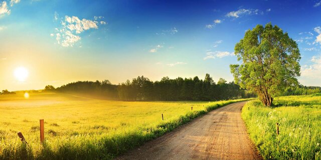 First Farming In The Fertile Crescent