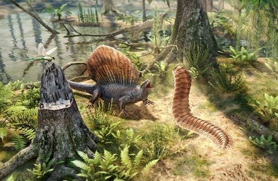 Primeros anfibios terrestres