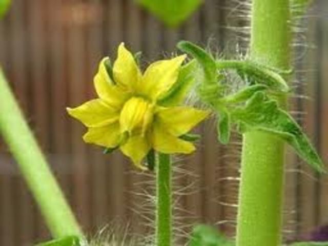 From the Inside, Out