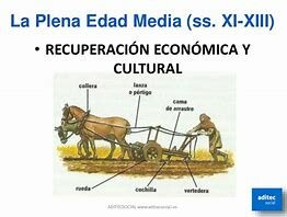 EDAD MEDIA O PLENA EDAD MEDIA