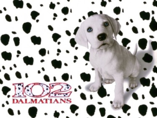 102 Dalmations