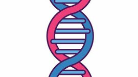 Timeline: La doble hélice