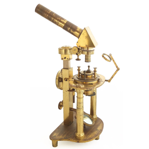 Amici( microscopio de inmersión)