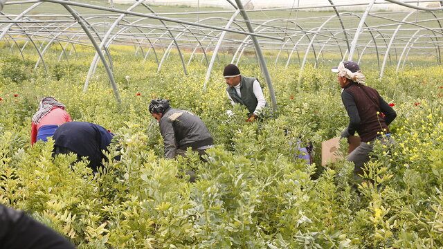 Entrepreneurship that can be developed