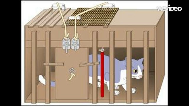 (Travers, Elliot y Katrochwill, 1993)