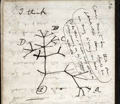 El primer árbol filogenético