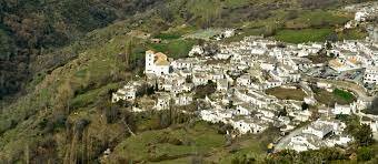 Le Capitulaire de Pitres