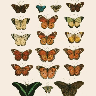 Timeline: Grandes hitos de la Historia de la Biología y la Geología