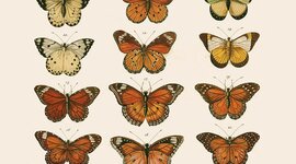 Timeline: Grandes hitos de la Historia de la Biología y la Geología