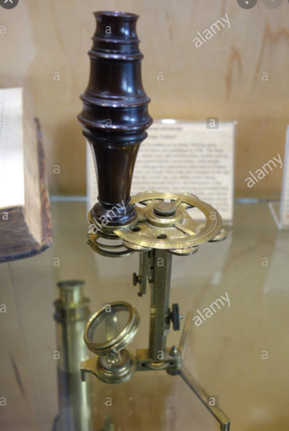 George Adams (microscopio invertido)