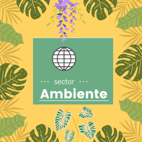 Decreto 1124 de 1999