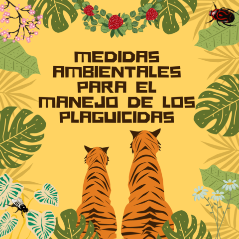 Decreto 1443 de 2004