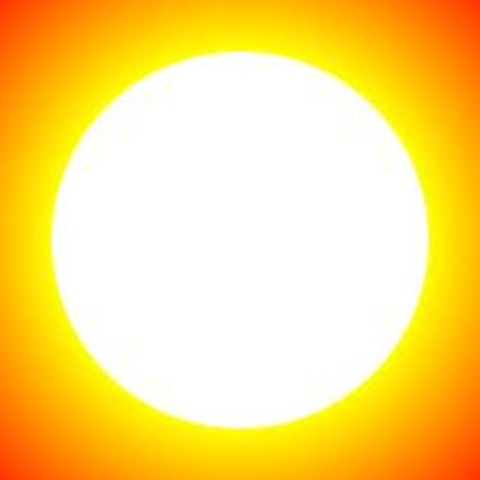 Beginning the Food Chain