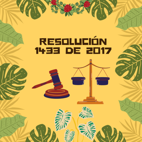 Resolución 1433 de 2017